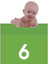 development_at_6_months