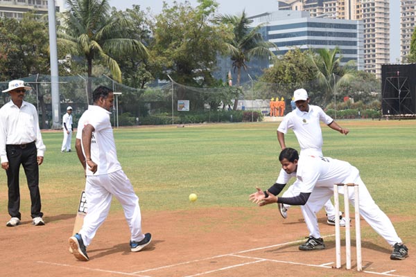 cricket_2020_image11