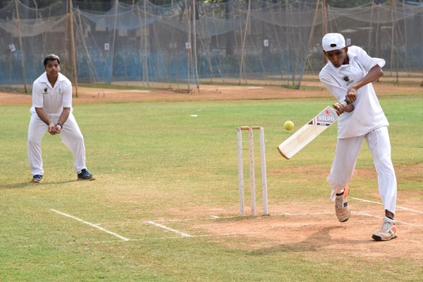 cricket_2020_image12