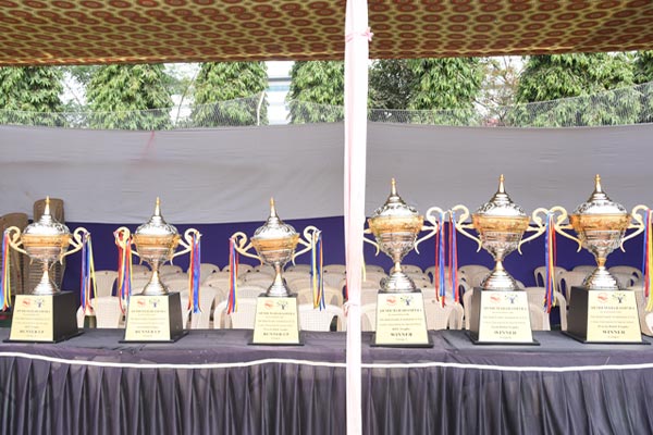 cricket_2020_image14