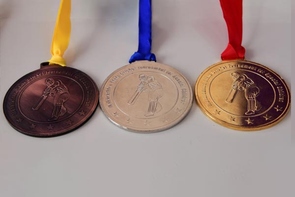 cricket_2020_image16